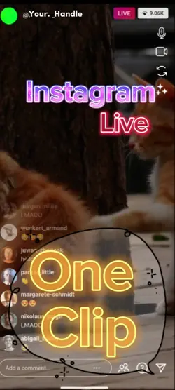 ig live leak