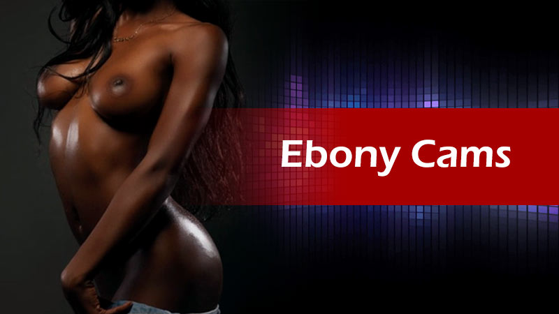 allison rust recommends ebony cam strip pic