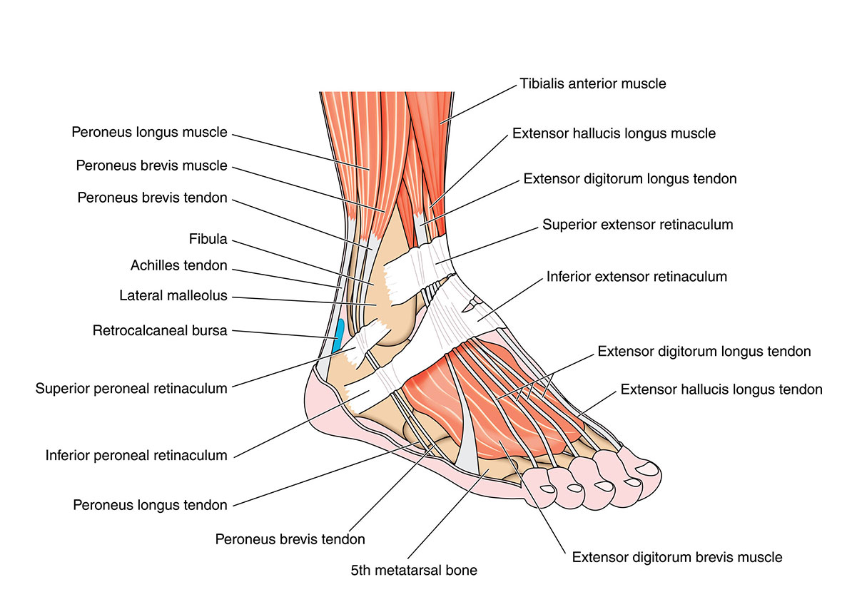 dillon trotter recommends All You Can Feet