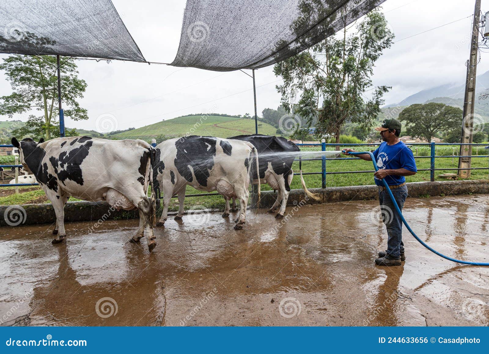 adrian jara recommends Milking Cam