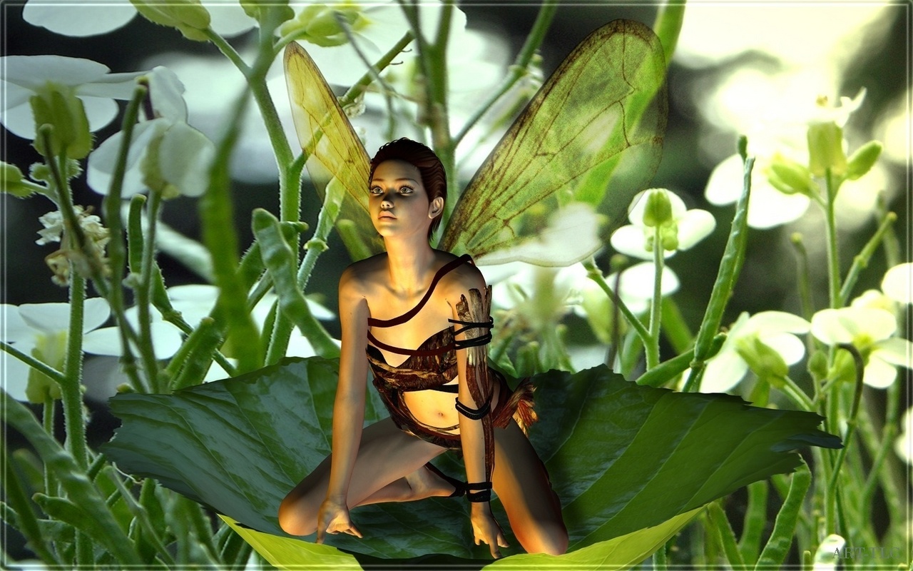 david hurwitz recommends 3d fairy porn pic