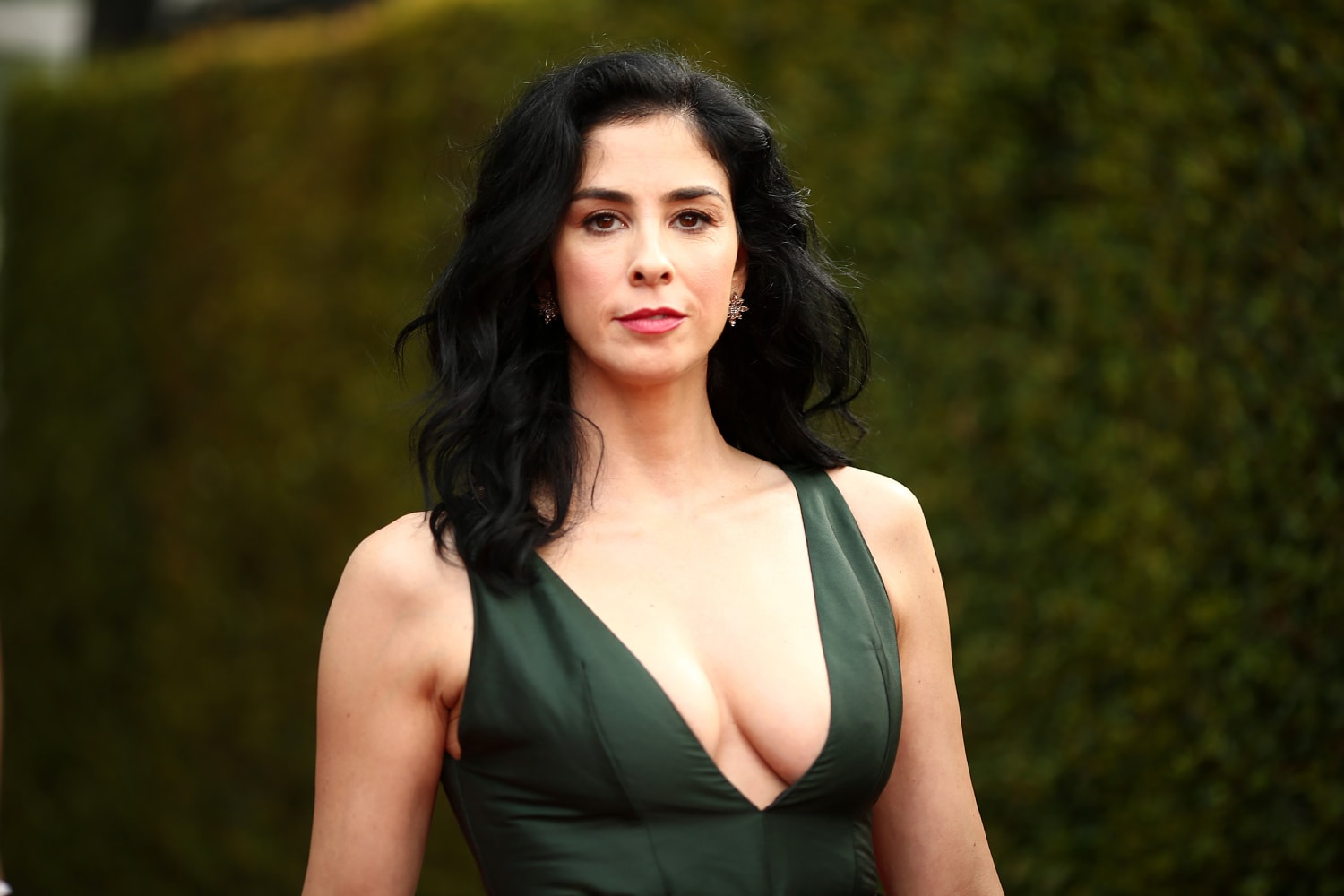 bruce wessel recommends sarah silverman legs pic