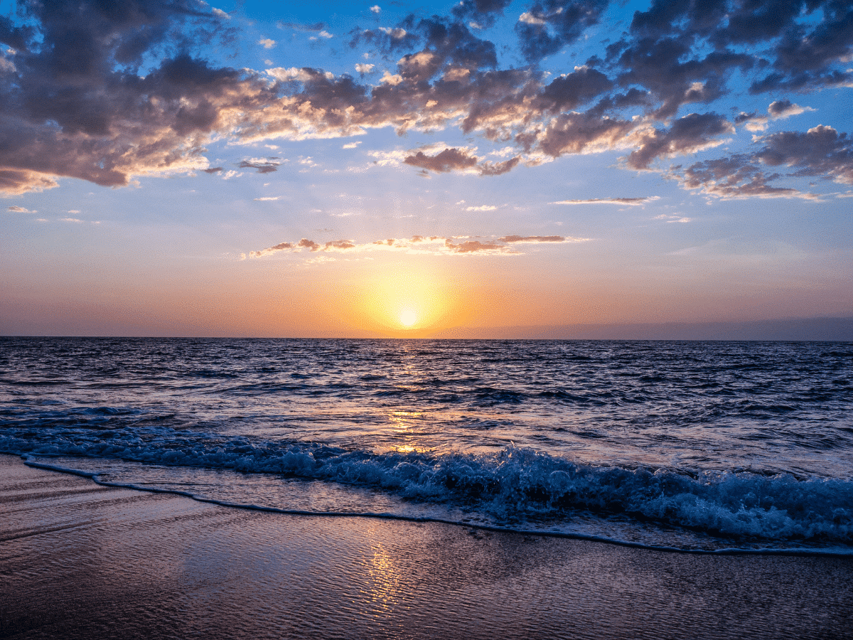 bianca armenta recommends Voteur Beach