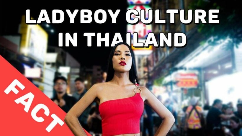 Best of Thai ladyboy por