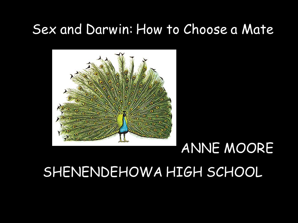 Best of Anne moore sex