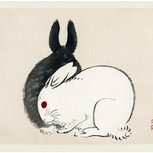 andrew greenham recommends asian bunnies pic