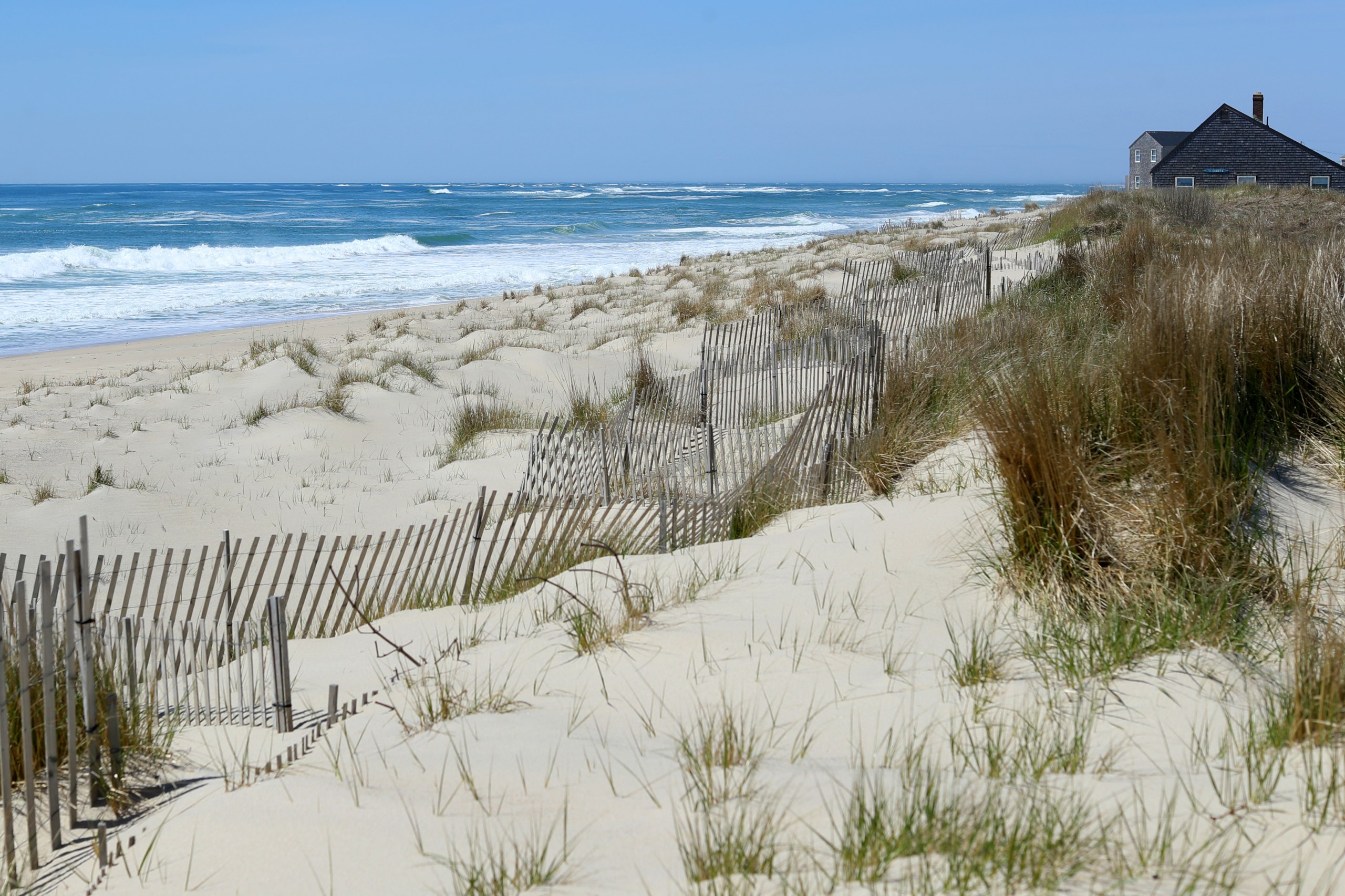 angelie laput recommends best top less beach pic