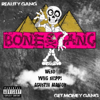 ashong recommends reality gang com pic