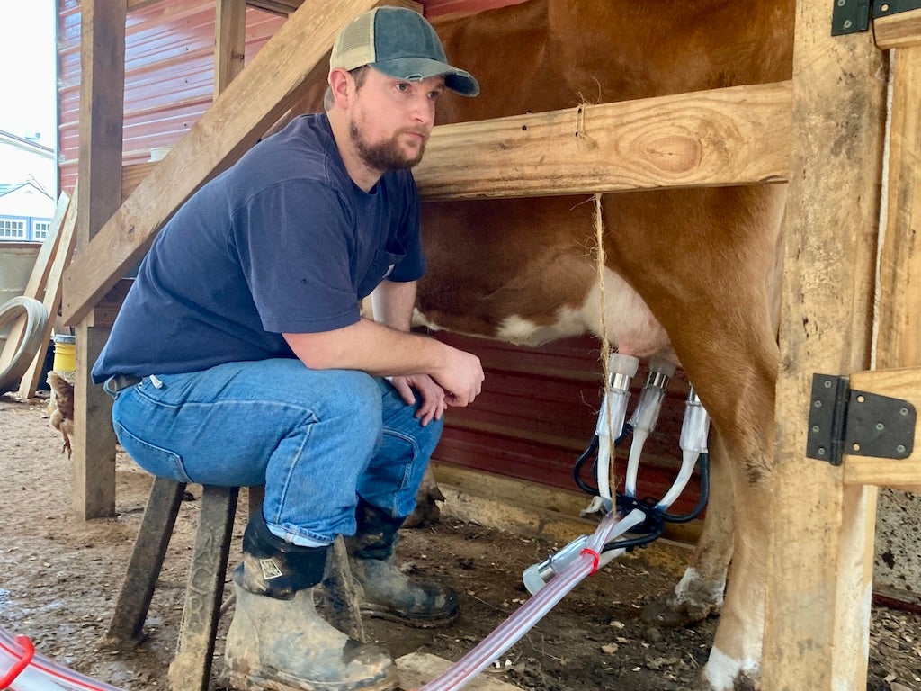 cherie thorn recommends Milking Cam