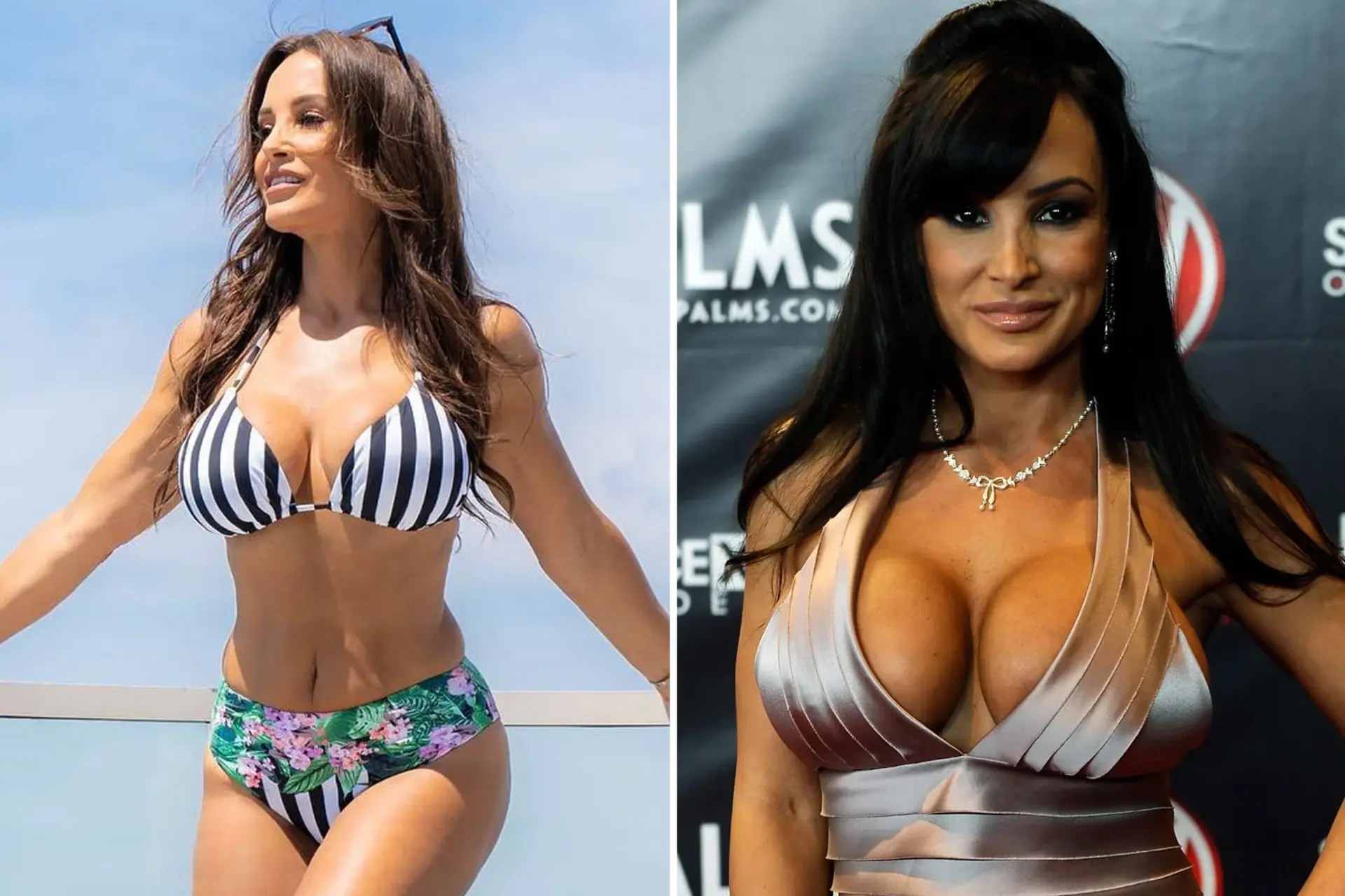 Lisa Ann Breasts stars girls